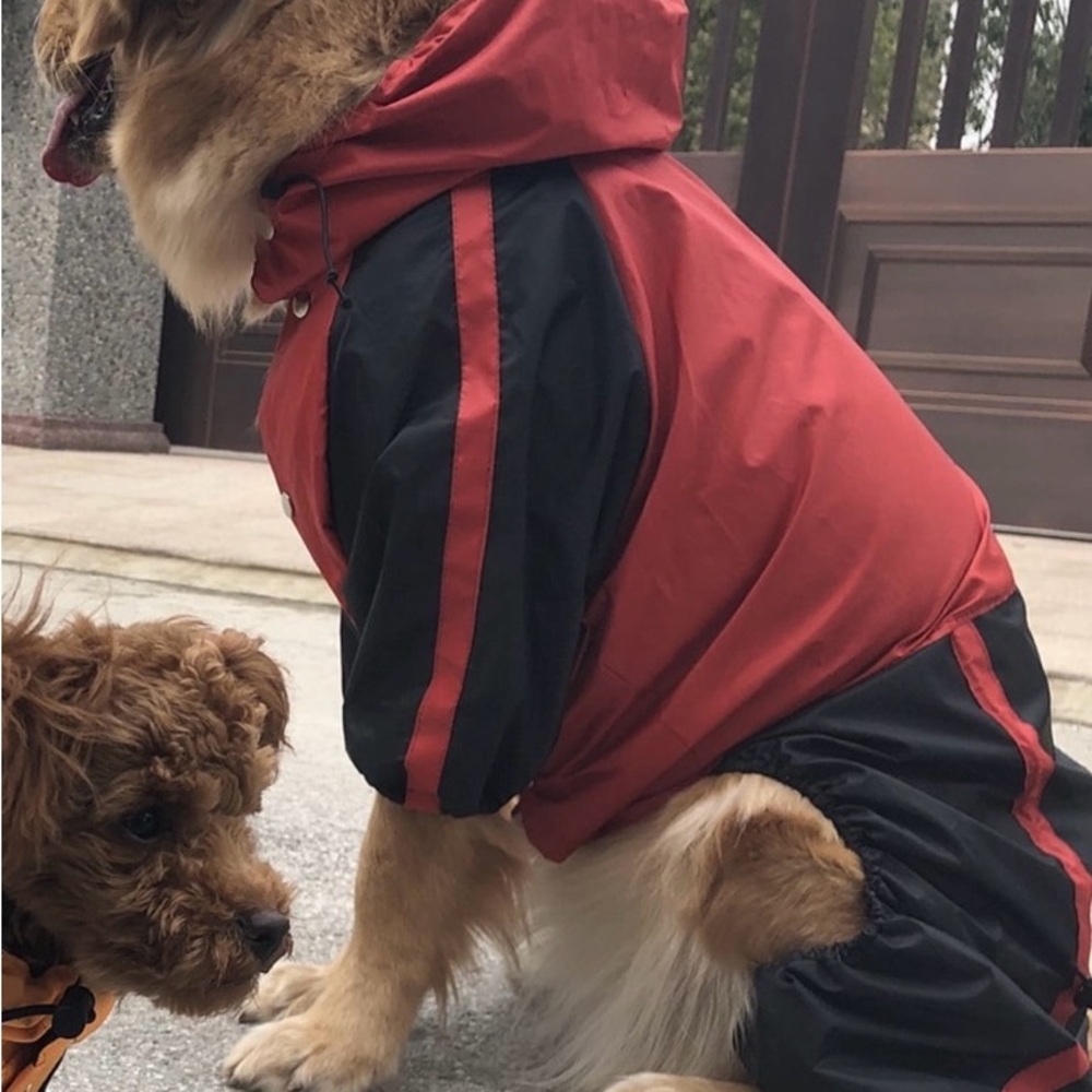 Dog raincoats xl